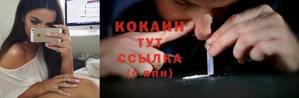 гидропоника Белокуриха