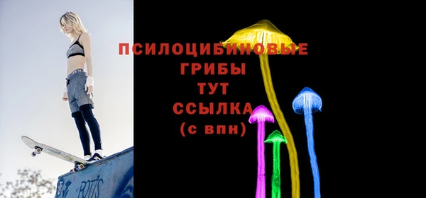 гидропоника Белокуриха