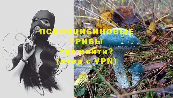 гидропоника Белокуриха