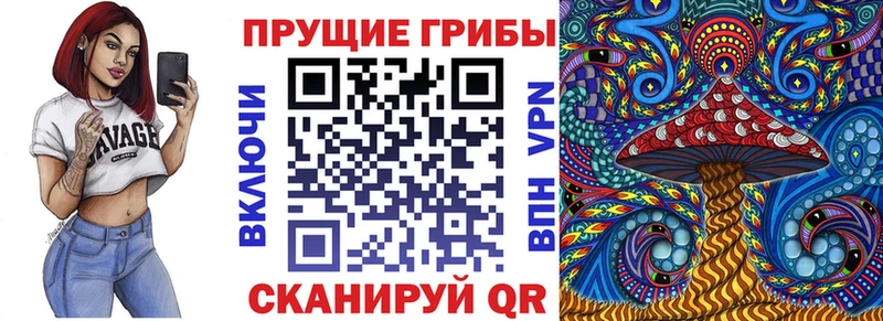 Псилоцибиновые грибы MAGIC MUSHROOMS  omg онион  Электросталь  купить наркотики сайты 