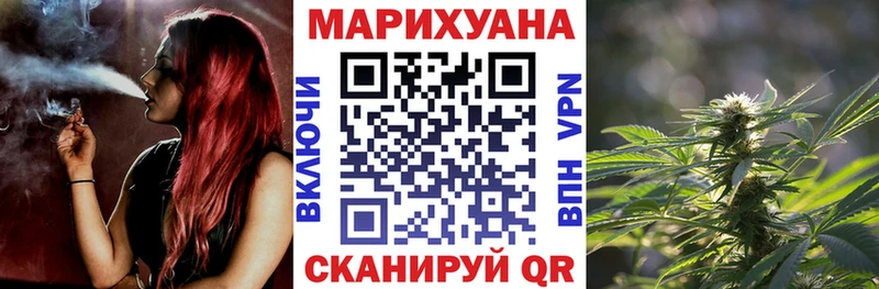 Каннабис сатива  как найти   Электросталь 